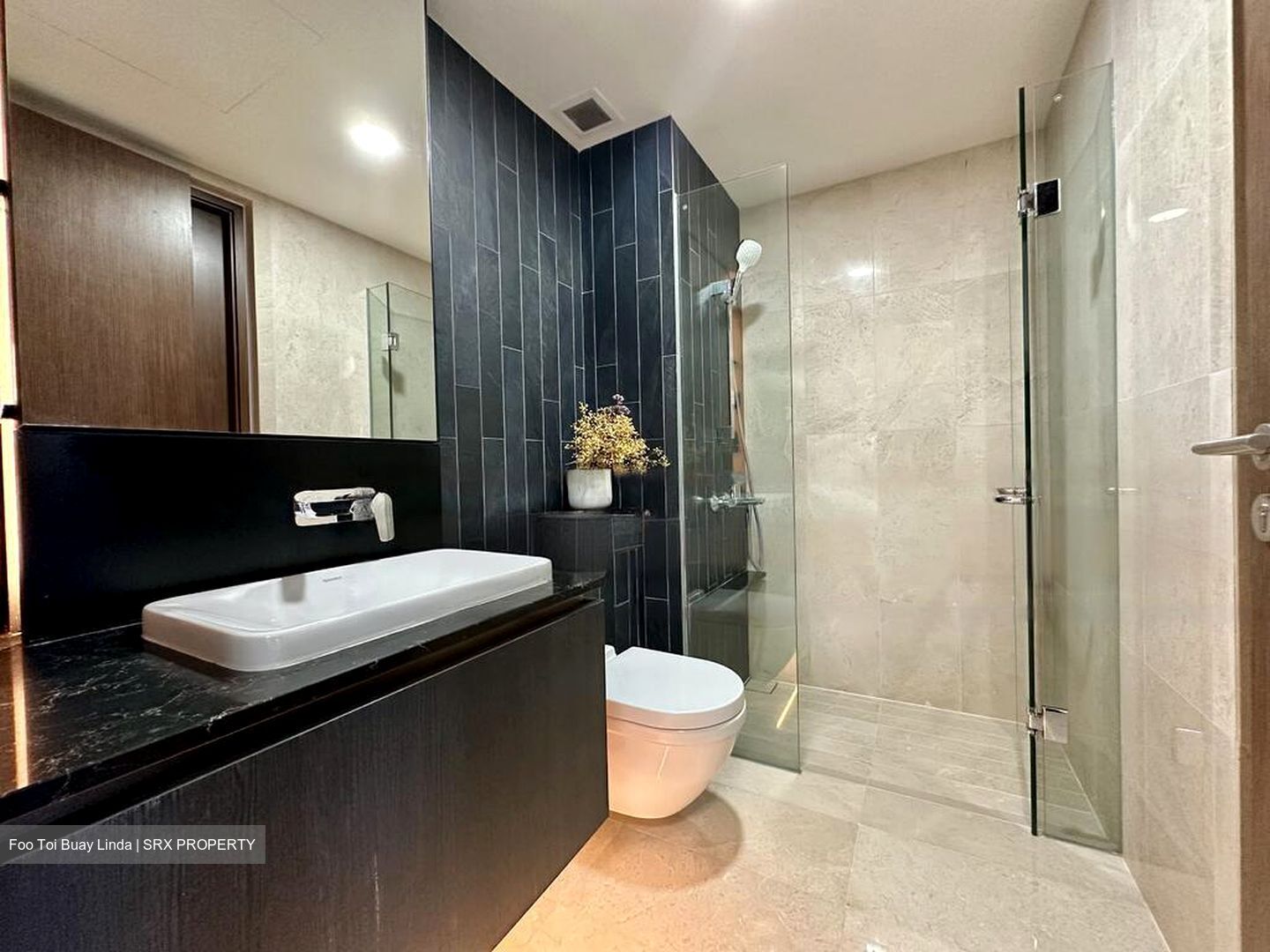 Dunearn 386 (D11), Apartment #485681401